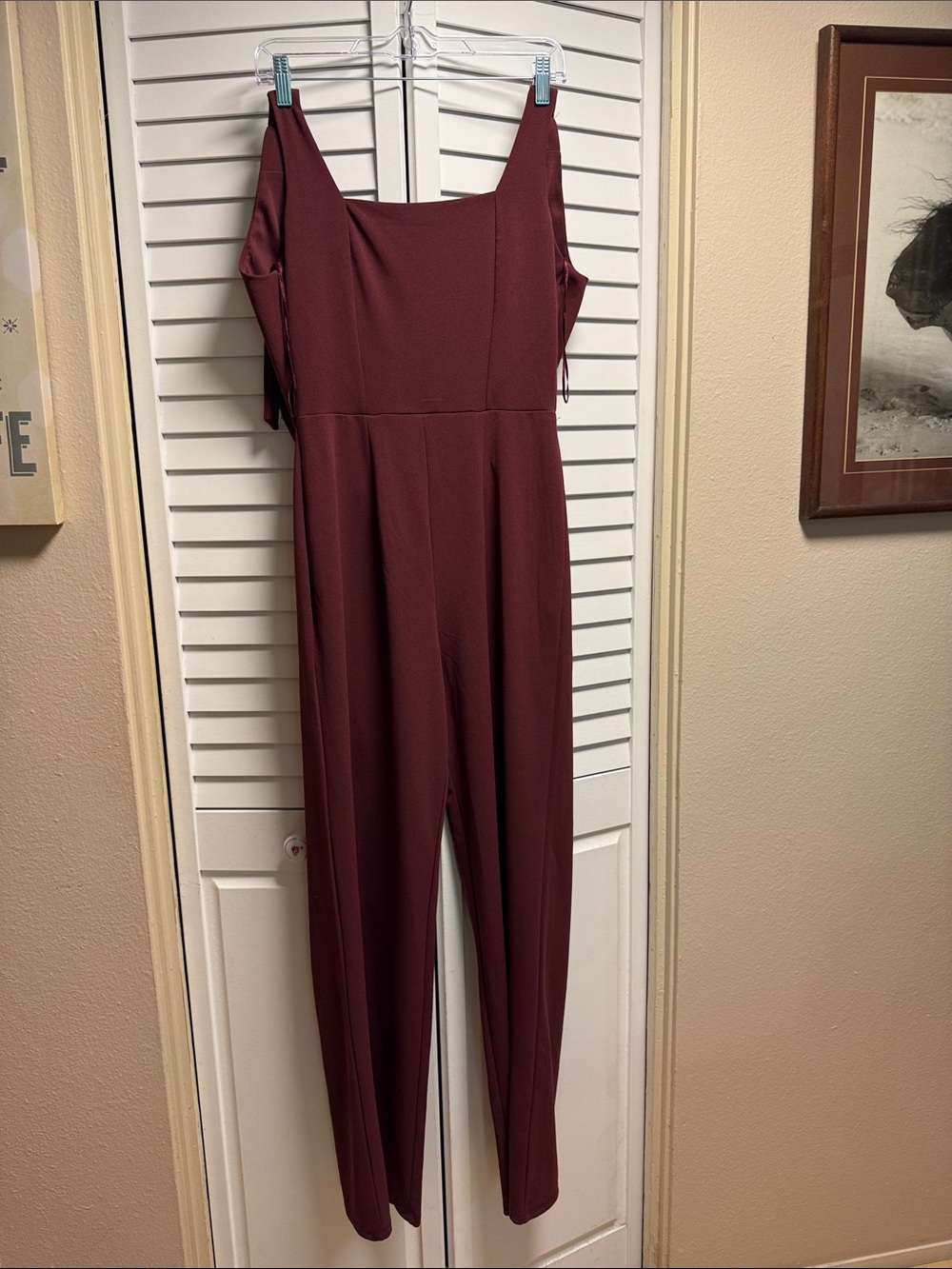 Francesca's Collections Sleeveless Wine Jumpsuit